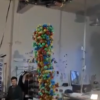 Looks Like Fun