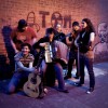 The Wolf Hongos